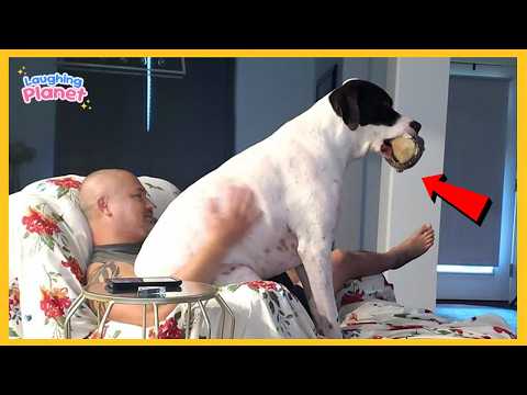 🐕🤣This Dog Never Runs Out of Energy… EVER