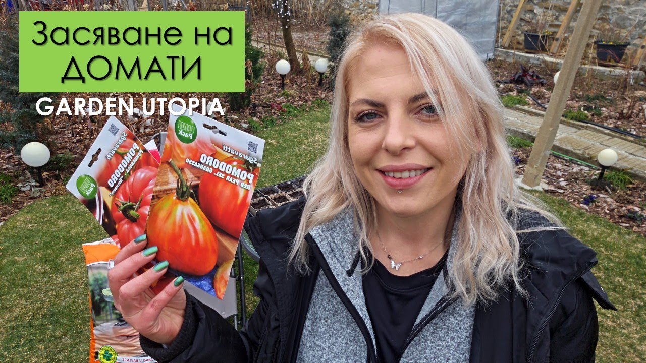 Засяване на домати | 2025 г.