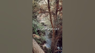 آيات الطمأنينة✨ #طمأنينه #طمأنينة #آيات #ايات_قرانيه_قصيره #هدوء #قرآن #قران_كريم #ترند #حالات_واتس