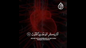 من سورة الرعد | القارئ أحمد الشافعي 🌸💙