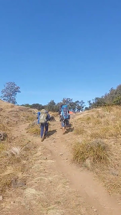 Mentahan Bahan Story #mentahan #story #storywa #sw #alam #pendaki #footage #bahansw #hiking