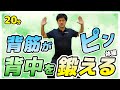 背筋がピッとなる全身トレーニング【Yoshikiの椅子に座ってできる簡単椅子体操】