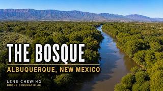 The Bosque | Albuquerque, New Mexico | Drone Cinematic 4K