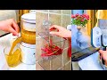 Asian cleaning home compilation  asian gadgets 5