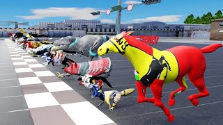 49 Incredible Animals Race Go HeadtoHead in the Animal Grand Prix !