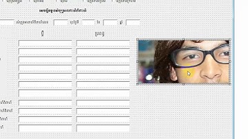 របៀបដាក់រូបភាពក្នុង Form VBA