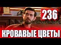 Кровавые цветы 236 серия на русском языке. Новый турецкий сериал