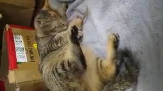 20150716_190827.mp4