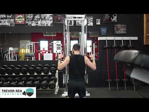 Dual Cable Lat Pulldowns