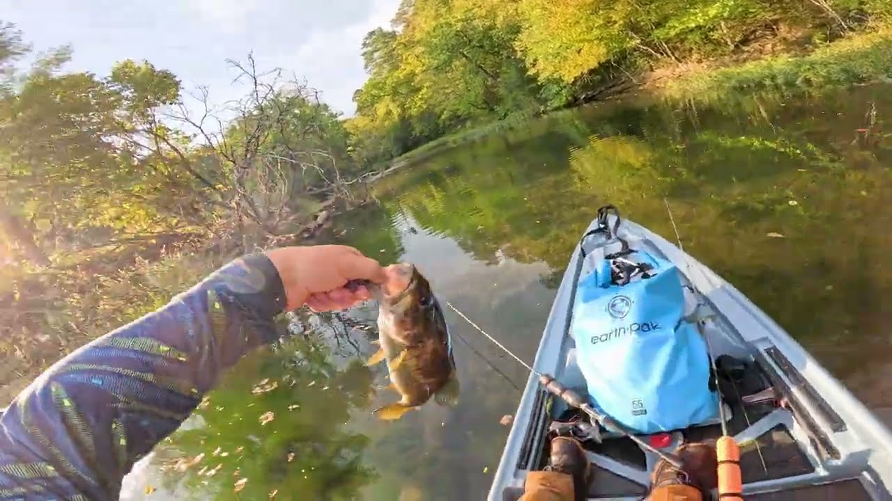 Big smallie crushed my lure! Secret creek spot!