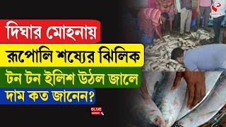 Digha Hilsa দঘর মহনয রপল শষযর ঝলক, টন টন ইলশ উঠল জল দম কত জনন?