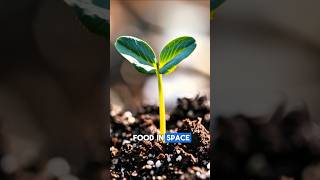 Growing Food on Mars: Space Farming Breakthroughs.