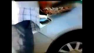 a big python in car's bonnet