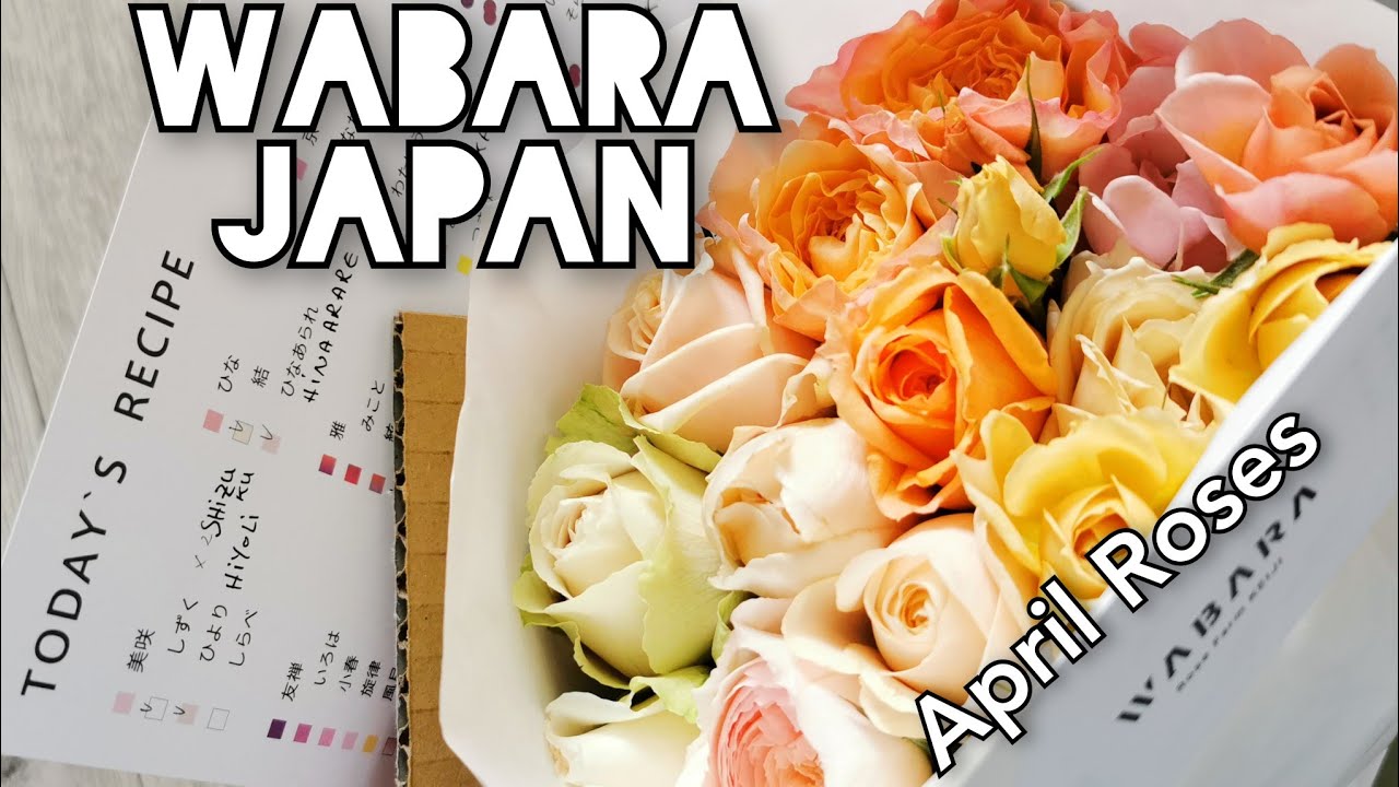 ROSE 💐 BOX REVEAL WABARA April Bouquet JAPAN'S FAVORITE KYOTO