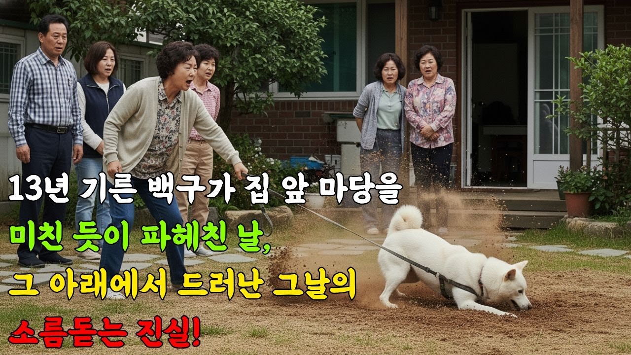 13년 기른 백구가 집 앞 마당을 미친 듯이 파헤친 날, 그 아래에서 드러난 가족의 숨겨진 진실