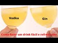 Vodka x Gin - Como fazer um drink fácil e refrescante