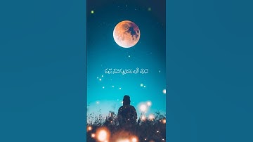 تلاوة خاشعة //بصوت القارئ عبدالرحمن الحميداني⏱️ثواني عظيمة 😌💕🩶🥀🌿