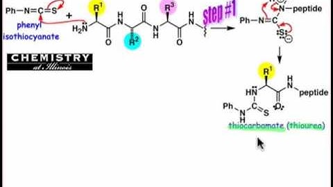 Sequence Determination One Terminal Unit at a Time
