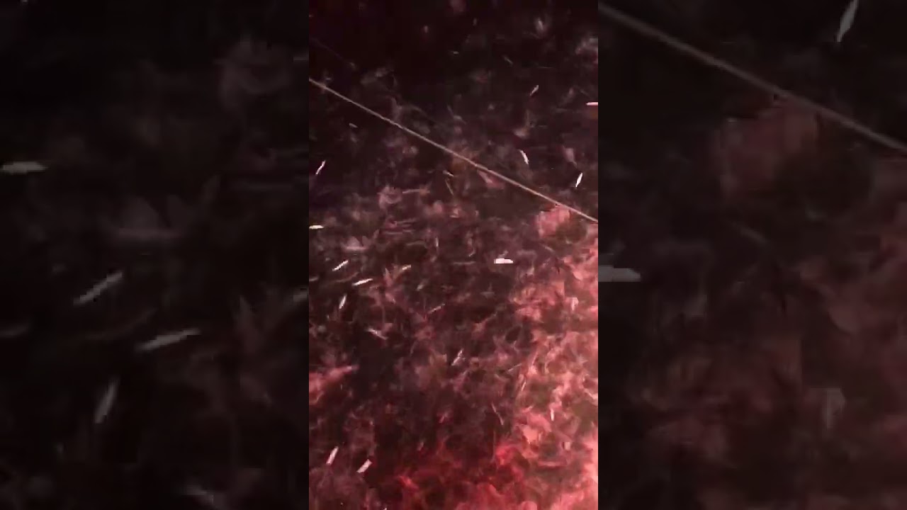 red fish light Marine led fishing lights red color light for Pacific saury