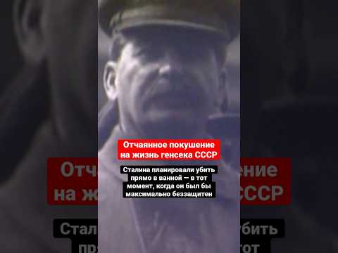 Это покушение могло бы стать одним из самых дерзких в истории! #Сталин #СССР #shorts