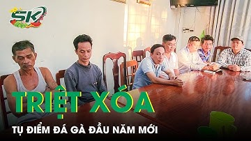 Triệt Xóa Tụ Điểm Đá Gà Ăn Tiền Đầu Năm Mới, Thu Giữ Trên 100 Triệu Đồng | SKĐS