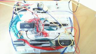 Apple 1-like 6502 Computer on a Breadboard