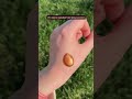 Это масло скрывает все вены на теле ☀️