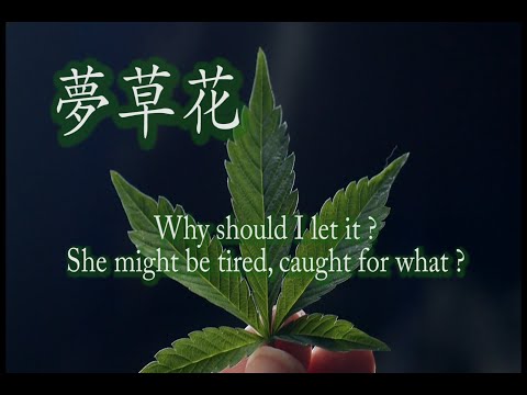 夢想花 円広志　替え歌 空耳 English subtitles　Happy 420 夢草花　マリファナ ソング　大麻の歌