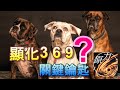 (顯化369關鍵鑰匙你拿到了嗎?)名人科學家尼古拉特斯拉說 3,6,9是宇宙的關鍵