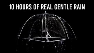 10 HOURS of REAL GENTLE RAIN screenshot 5