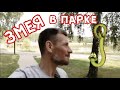 Змея в парке! 🐍  | Сергей Темеров
