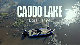 BASS Fishing on BEAUTIFUL CADDO LAKE!