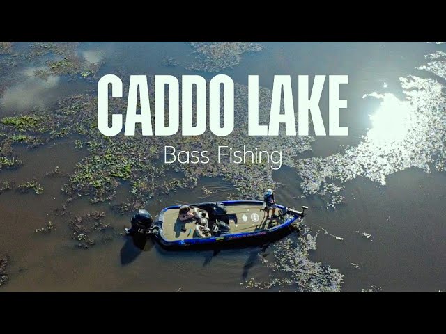 BASS Fishing on BEAUTIFUL CADDO LAKE!