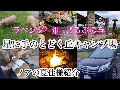 北海道中富良野「星に手のとどく丘キャンプ場」⛺️【絶品グルメ】ジンギスカン　美瑛町「ぜるぶの丘」でラベンダー🪻 ノア80系／車中泊【夏仕様】車内紹介