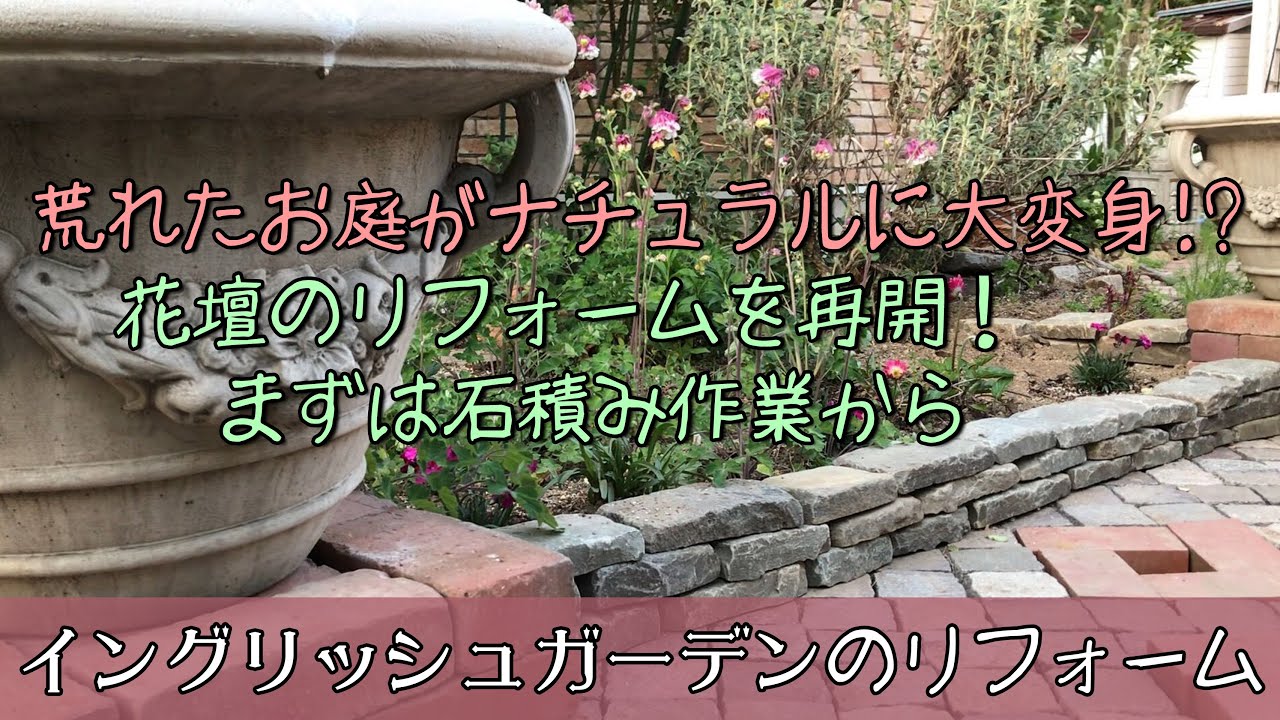 【ガーデニング】荒れたお庭がナチュラルに大変身！？花壇のリフォームを再開！モルタル無しの簡単な石積み作業と、初めての苗ナデシコを植え付けます。【園芸】【荒れ果てたイングリッシュガーデン】