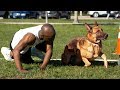 Dog vs human sprinting  whos faster