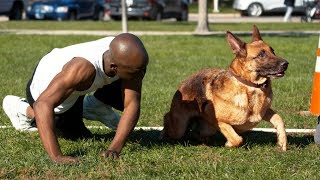 Dog vs Human Sprinting - Who's Faster?