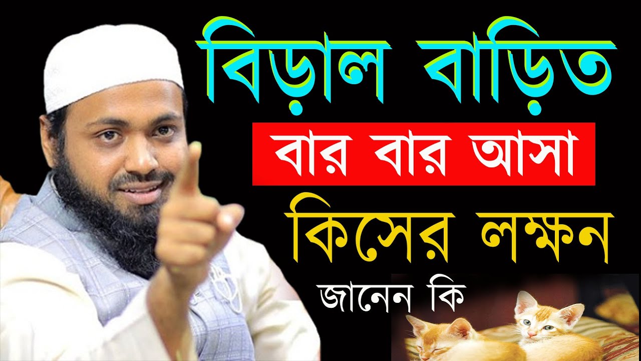 বাড়িতে বিড়াল কেন আসে জানেন কি ? জানলে বুঝতে পারবেন । আরিফ বিন হাবিব 15-01-26 kputhkhkkkh