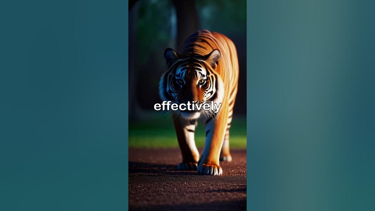 10 Mind-Blowing Facts About Tigers You Never Knew! - YouTube