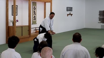 2018 Peachtree Aikikai 25th Anniversary P Bernath Sun 02