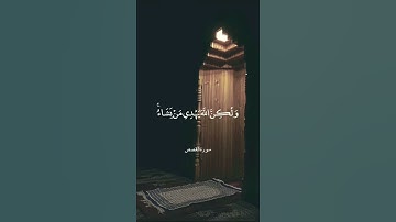 إنك لا تهدي من أحببت ولكن الله يهدي من يشاء - تلاوة من سورة القصص - بصوت الشيخ علي جابر