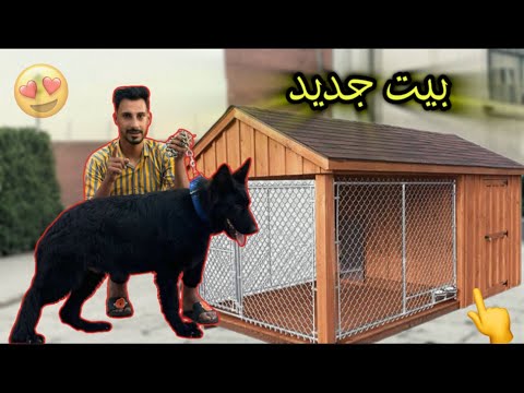 عملت بيت جديد لي شعبولا بعد عودته من المزرعه 