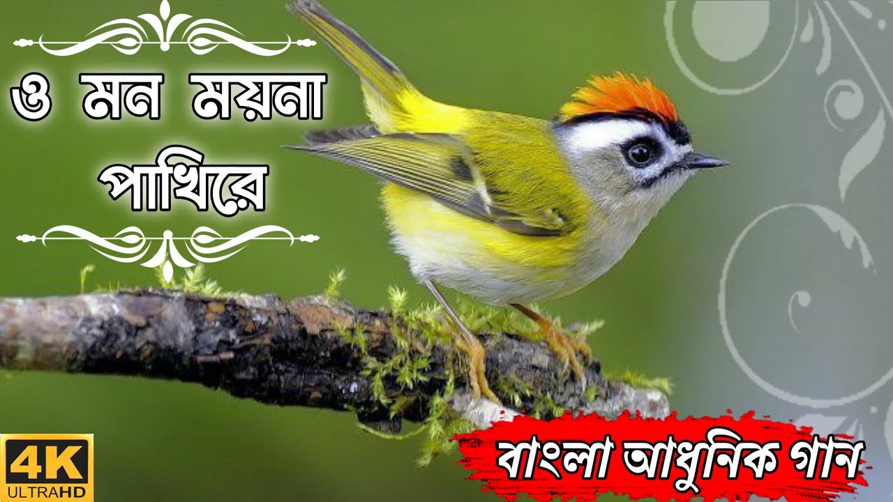 O Mon Moyna Pakhi Re  Shyama Sangeet  Anup Jalota  Bengali Devotional Song  Tanmoy Purkait