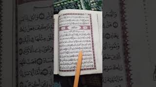 🌅 Surah Al-Fajr recited with calm power – start your day with light and peace ✨ #Quran #AlFajr