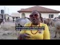Inside Ojude Oba: Yoruba cultural festival rides on in Nigeria | DW News