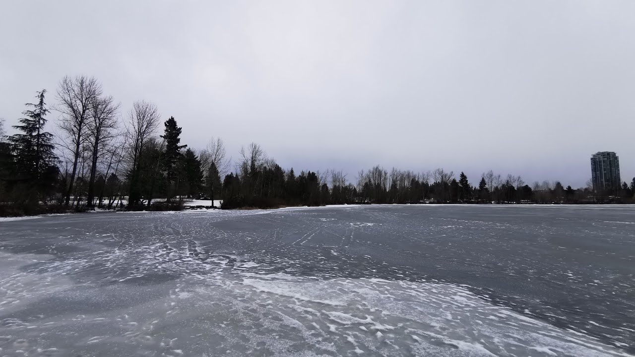 Mill Lake Park - Abbotsford BC   01/04/22