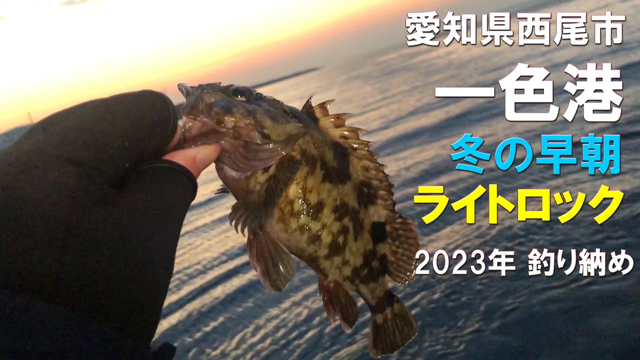 カサゴで2023年釣り納め　一色港で冬の早朝ライトロックゲーム