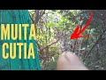 CAÇADA COM MUITA CUTIA, TESTANDO CARTUCHO