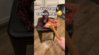 I steal cheese.. 🧀 #fypシ #foryou #viral