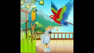 🎶🎶 LAGU Burung Kakak Tua.   #short